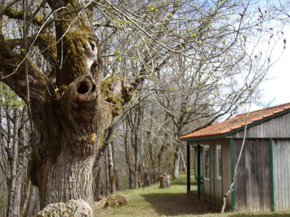 فندق Le Balcon Des Raspes Saint-Victor-et-Melvieu المظهر الخارجي الصورة