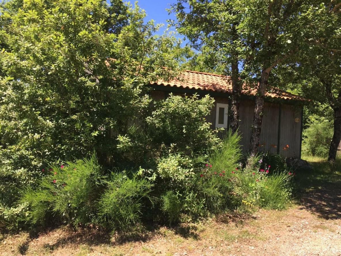 فندق Le Balcon Des Raspes Saint-Victor-et-Melvieu المظهر الخارجي الصورة